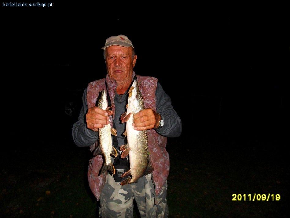 Podsumowanie sezonu 2011