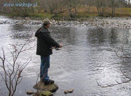Stawy Torlundy Trout Fishery i River Lochy Wielka Brytania