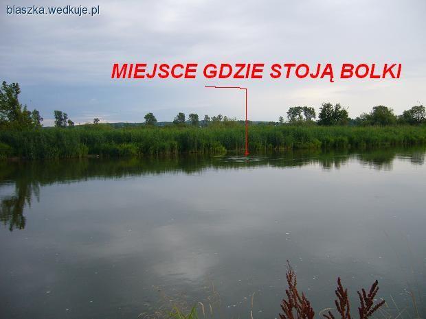 Jak szukać bolka na rzece