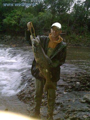 Rzeka Root River, Racine, WI - Stany Zjednoczone