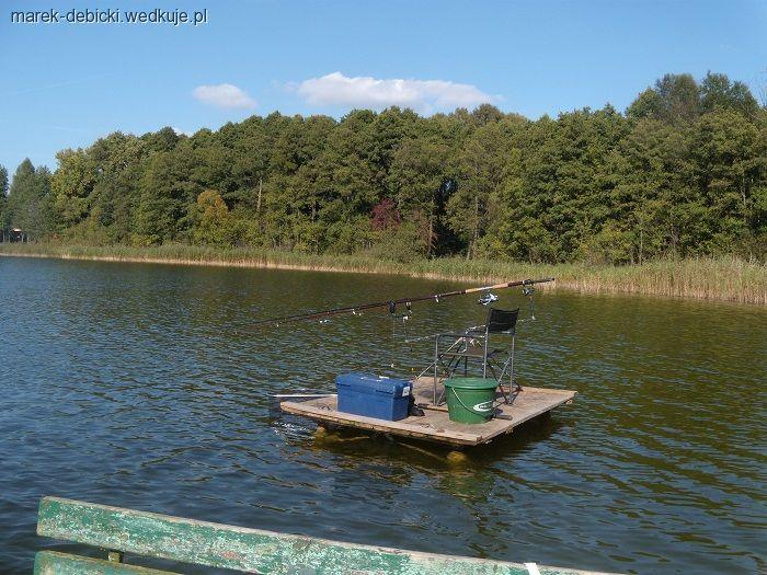 Karpiowy nietakt