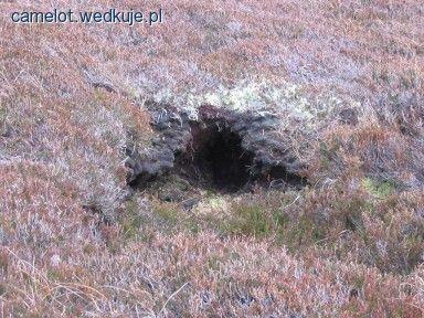 Niekoniecznie ,,ryba”