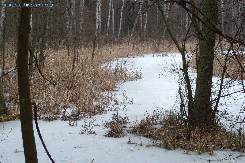 Zestaw spławikowy, przypon, grunt 