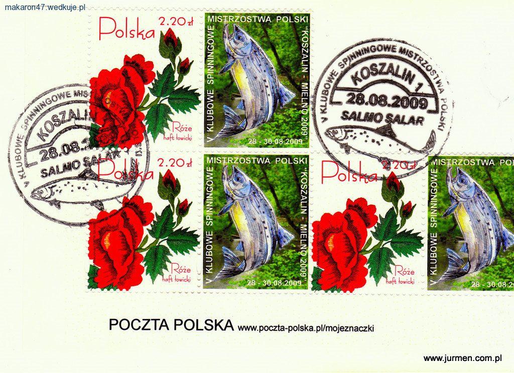 Wędkarski, ogórkowy sezon