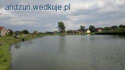 Zawody gruntowe-łowisko Jesiotr w Zakrzowcu 13.08.11