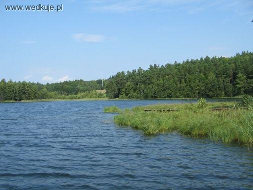 Jezioro Czarne Dąbrówno
