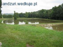 Łowisko pstrągowe Wieniec