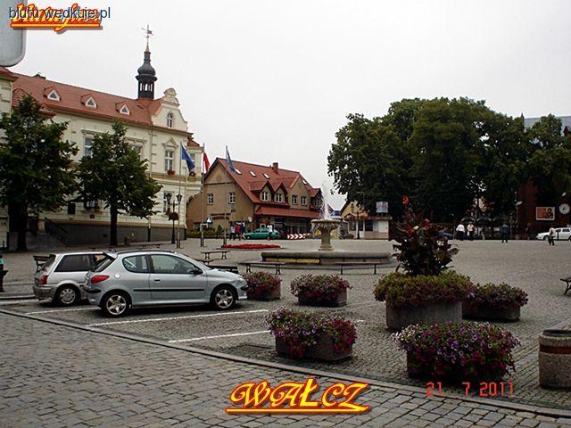 Zamiast wędki aparat fotograficzny