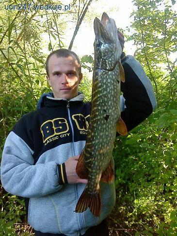 Życiowa wyprawa