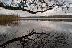 Jezioro Jelito - Lubuskie