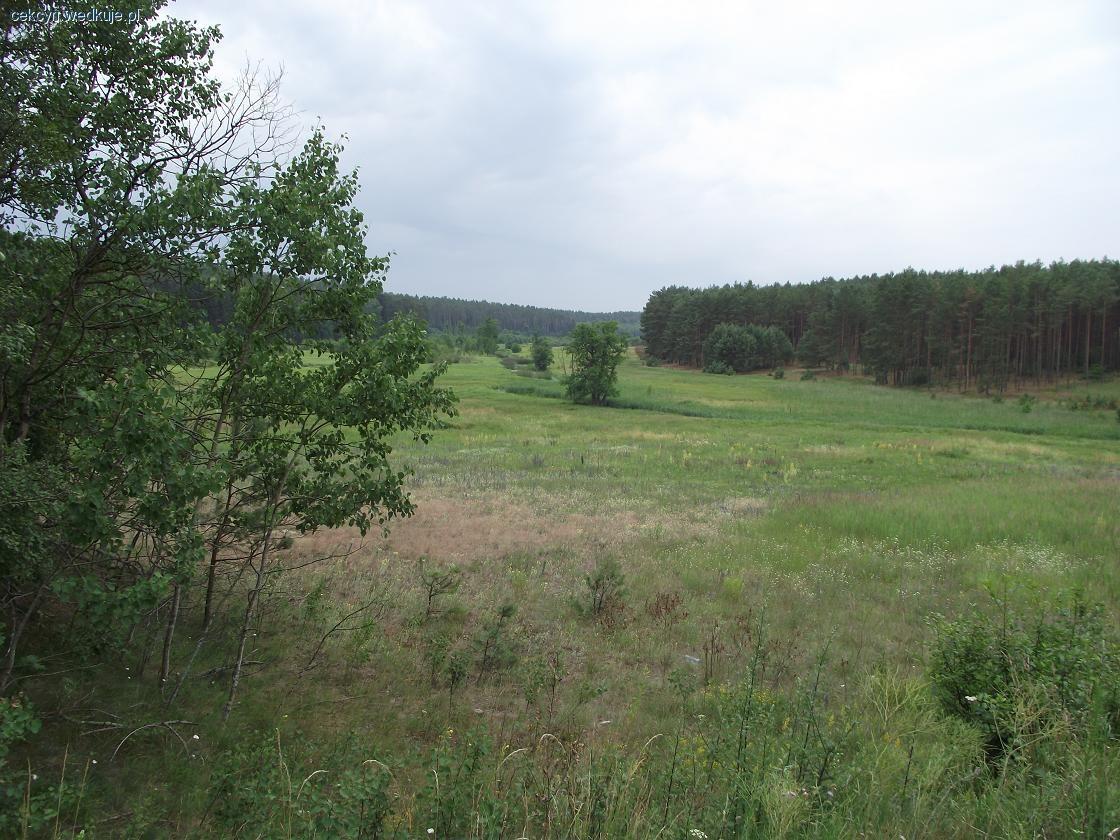 Rzeka Rakówka