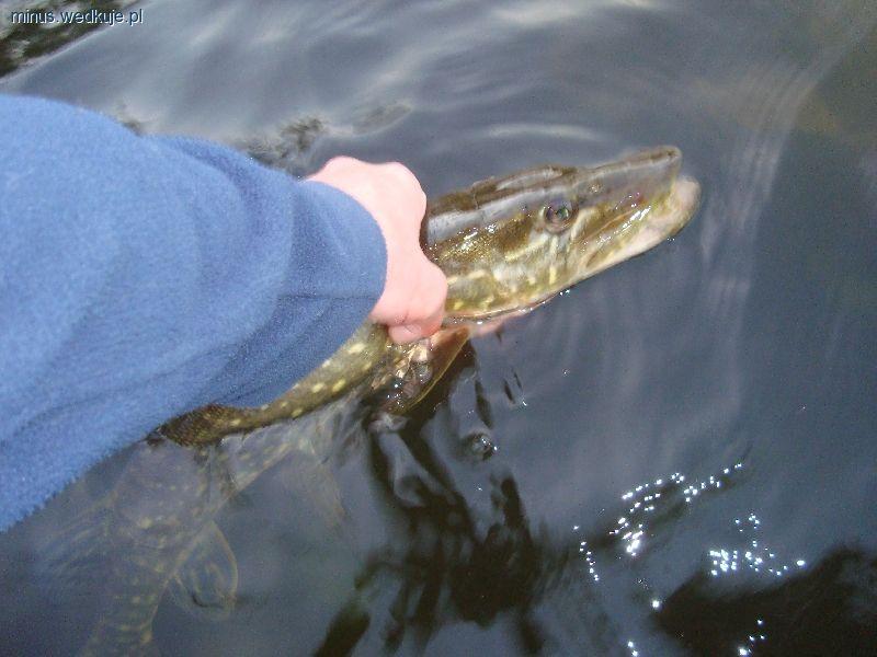 Wyniki zawodów na Sicinie 2011