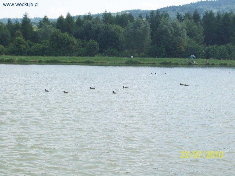 Stawy w Bartoszowie