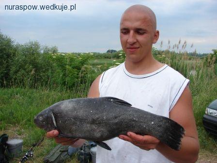 Turniej kadry i aktywu koła nr.40 Bydgoszcz J.Pakoskie 12.06.11
