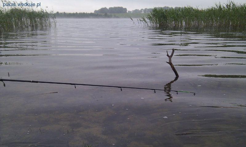 Z pickerem na drobnicę