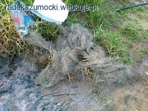 Wieczorna kontrola SSR Gubin
