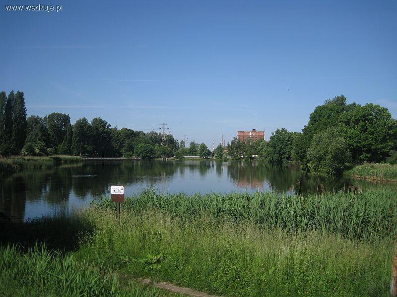 Staw przy ul. Przędzalnianej - Łódź