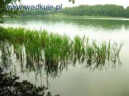 Jezioro Zdbiczno