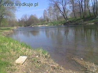 Jasiołka