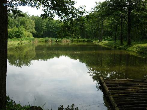 Dzień Dziecka 2011 w Kole Kolumna