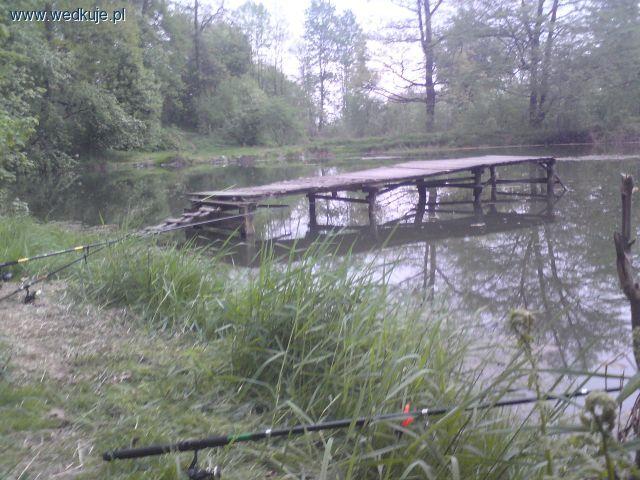 Staw w Leśnej