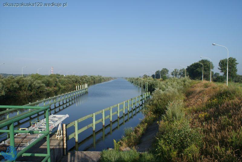 Spławikowe Mistrzostwa Koła - Kanał Dwory II 22.05.11