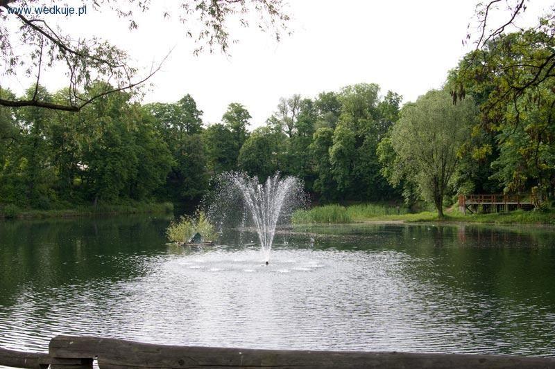 Staw Warszawianka - Świebodzice