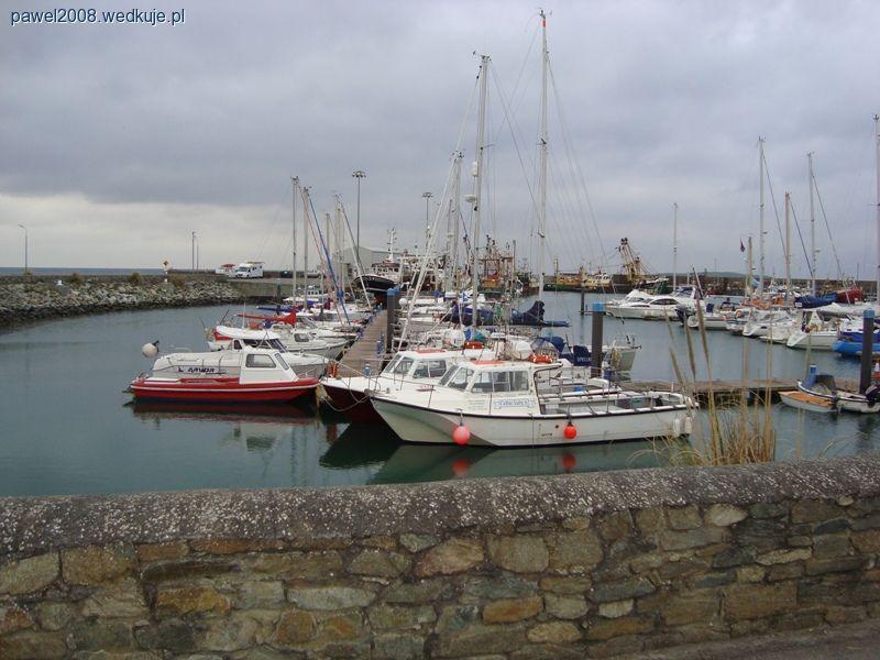 Foczka na dorsza?! - Kilmore Quay, Irlandia