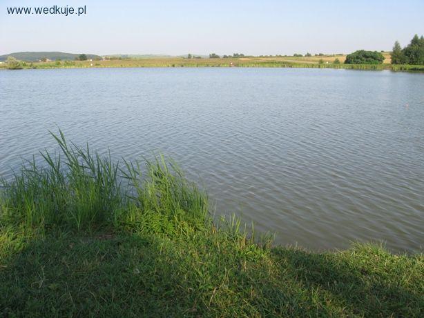 Stawy Bartoszów