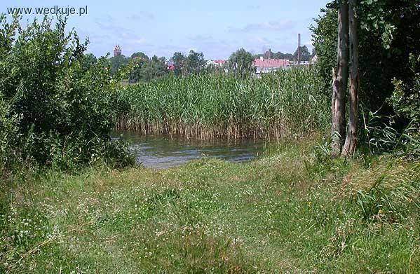 Jezioro Dywickie (koło Olsztyna)