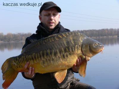 Gosławice pełne karpi