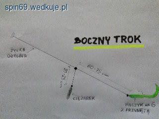 Boczny trok skuteczna metoda spiningowa