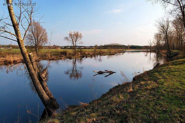 Mazowiecka rzeka Liwiec