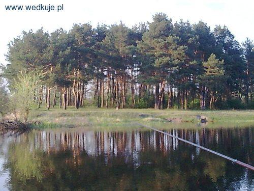 Starorzecze Bugu w Szuminie 