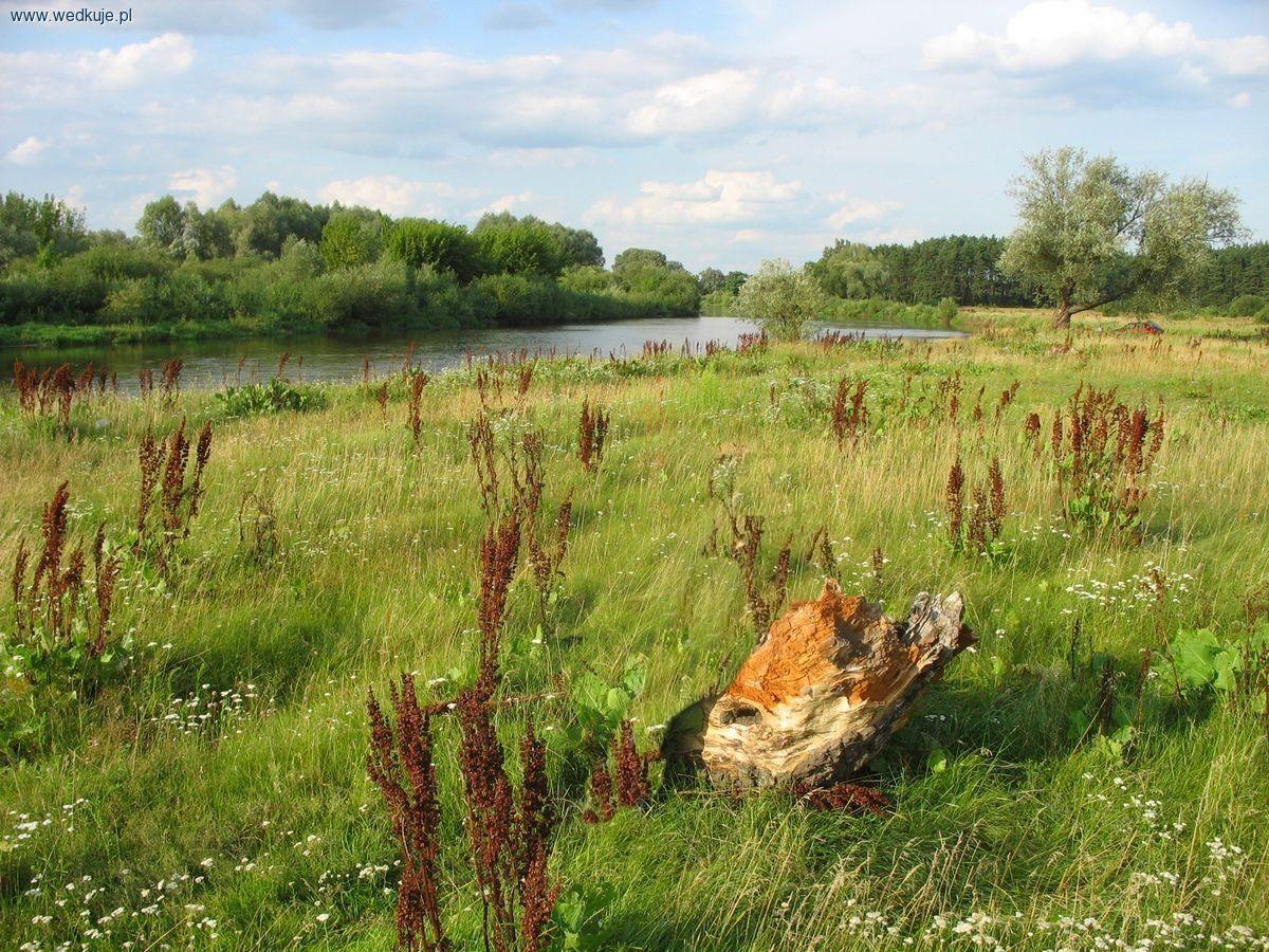 Rzeka Bug - Kamieńczyk
