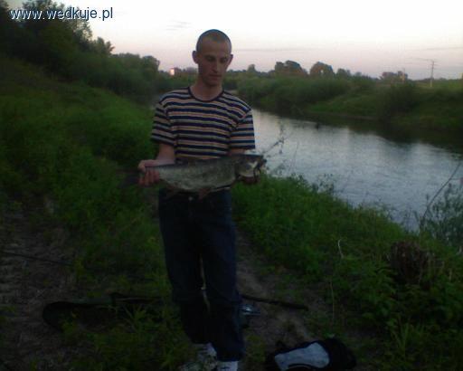 Wisłoka Straszęcin-Zawierzbie