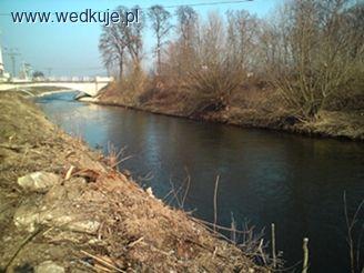 Rzeka Bóbr Lwówek Śląski