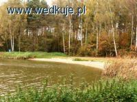 Staw Świętej Anny - Mszczonów