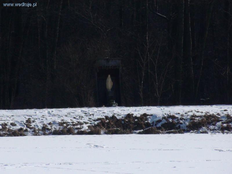 Stawy Świętej Anny w miejscowości Zbiroża