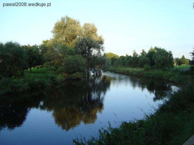 Wędkarstwo muchowe - rzeka Liffey, Irlandia