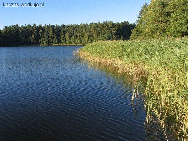Nęcenie wiosną - jak nęcić ryby na wiosnę?