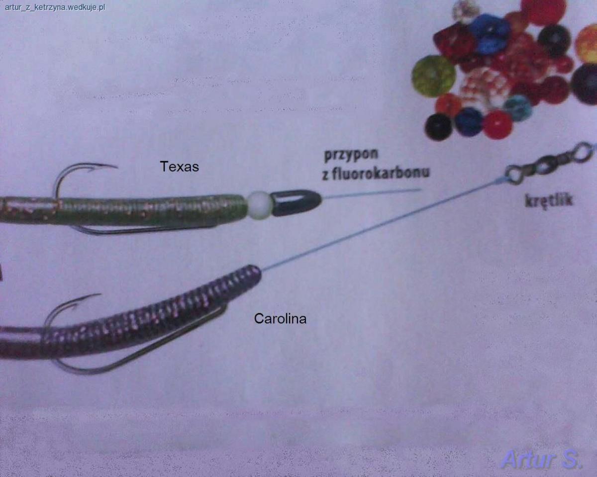 Carolina i Texas Amerykański zestaw na okonia