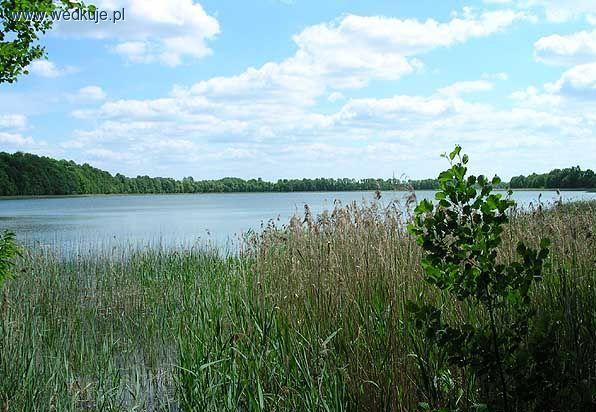 Jezioro Hołny (powiat Sejneński)