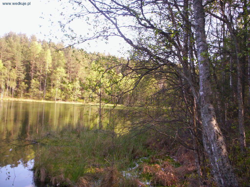 Jezioro Gniestwo