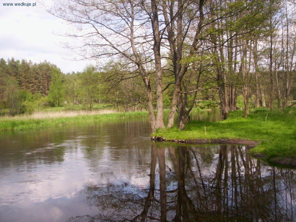 Rzeka Wda Błędno