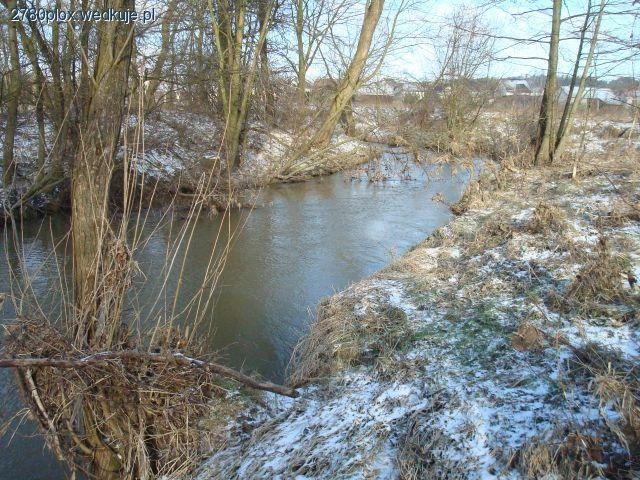 Moje otwarcie sezonu wędkarskiego 2011