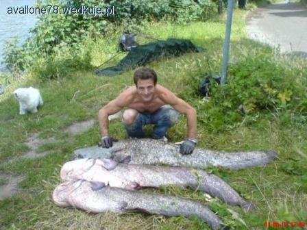 Sekwańskie sumy - moje początki i ewolucja wędkarska