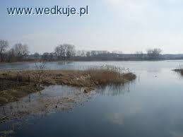 Rzeka Wełna