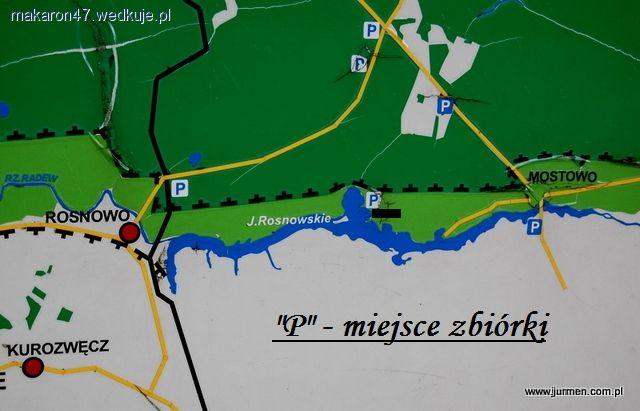 Wielki Podlodowy Mistrz Zalewu Rosnowskiego