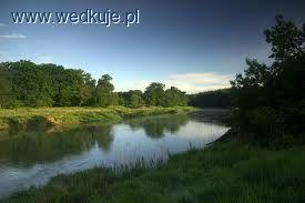 Warta w Obornikach